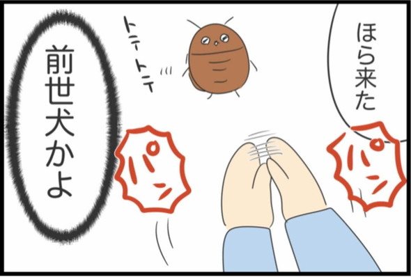 ゴキブリに対する母のリアクション漫画