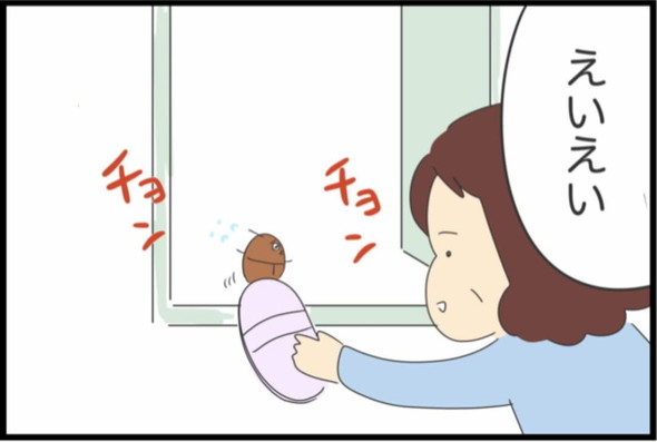 ゴキブリに対する母のリアクション漫画