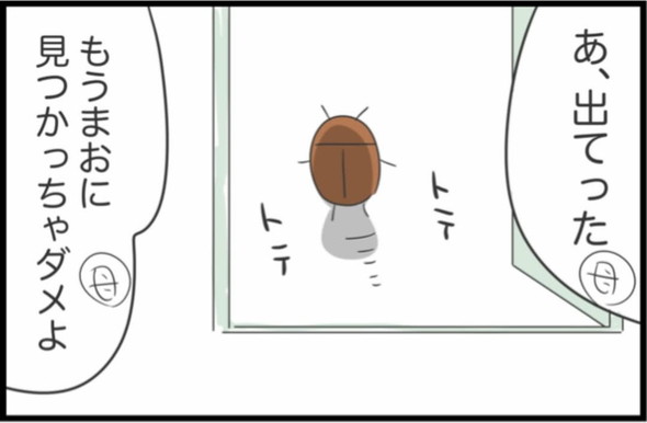 ゴキブリに対する母のリアクション漫画