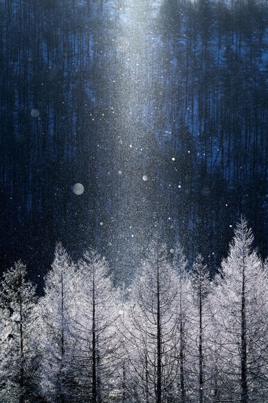 雪の鶴ヶ城と侍