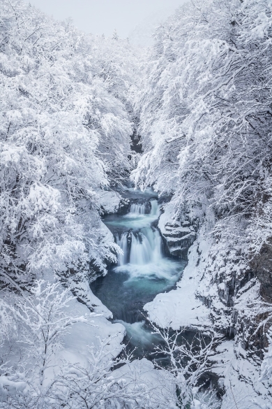 雪の鶴ヶ城と侍