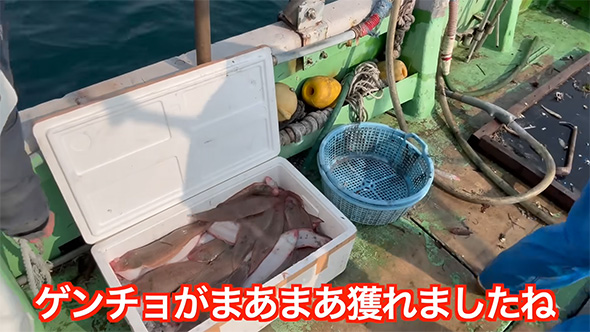 ゲンチョがまあまあ