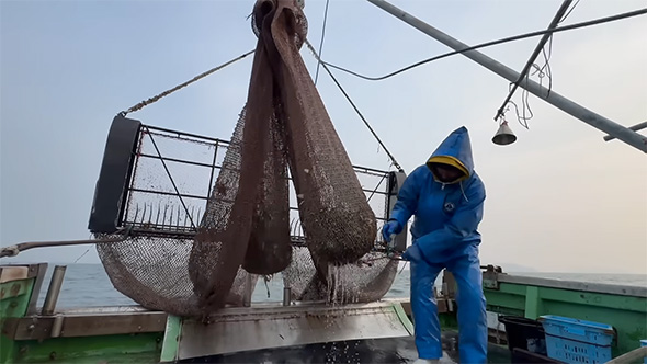 パンパンになっている網