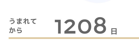 トツキトオカの画面