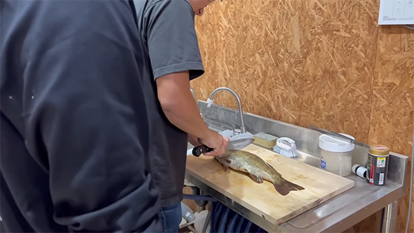 コクチバスをさばく