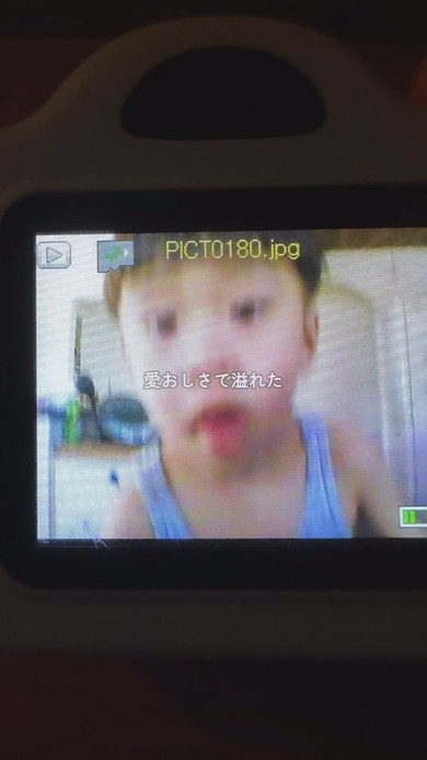 4歳の男の子が撮った写真