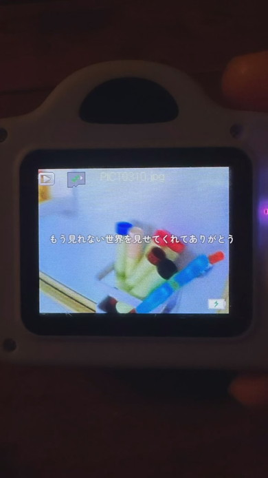4歳の男の子が撮った写真