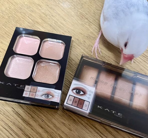 アイシャドウの塗り方分かりやすくした