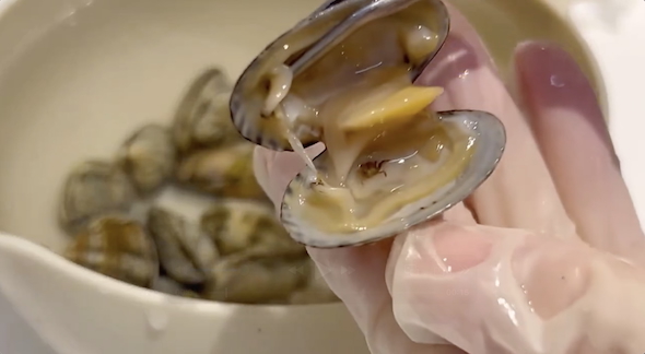 アサリの中に小さなカニ