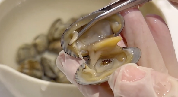 アサリの中に小さなカニ