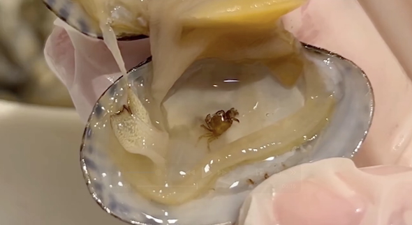 アサリの中に小さなカニ