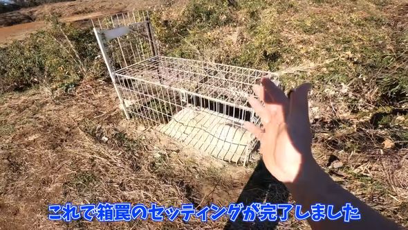 イノシシを捕まえるためのトラップ