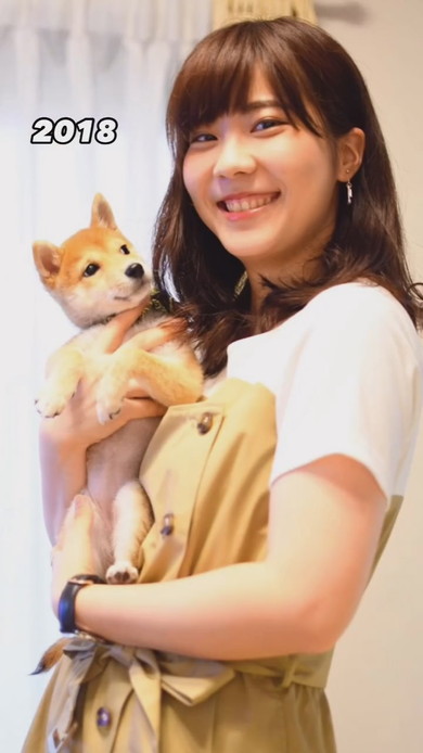 柴犬を抱っこする女性