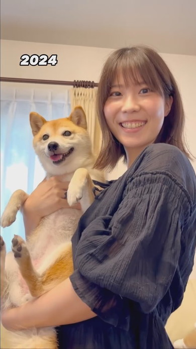 柴犬を抱っこする女性
