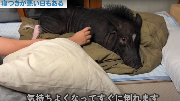 ピンセットを使って強制終了