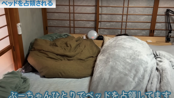 「ベッドを独占される」