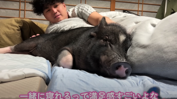 大変だけど一緒に寝れる満足度がすごい