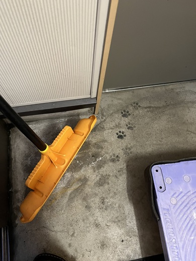 ヤマト運輸の営業所で発見した猫の足跡のマーク