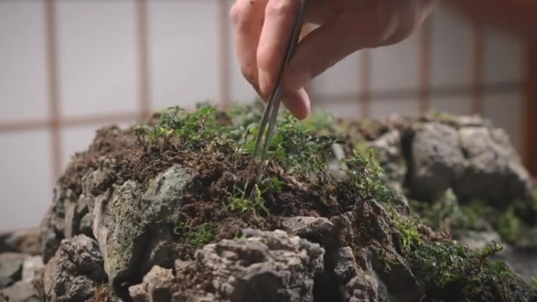 植物を植える画像