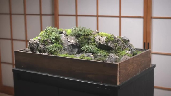 完成した滝の画像