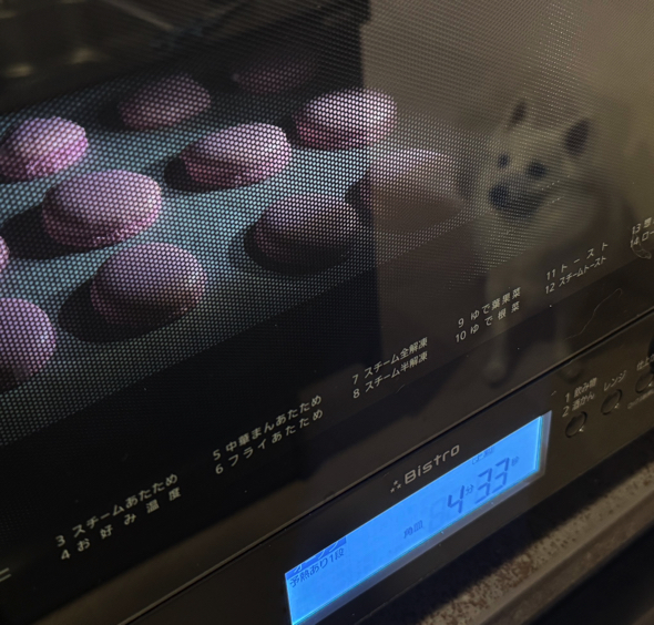 電子レンジに映り込むワンコ