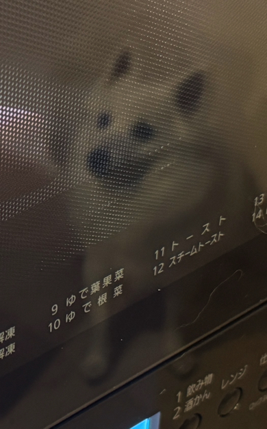 真剣な表情でマカロンを見張ってくれています