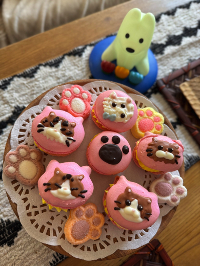 キュートなマカロンが完成