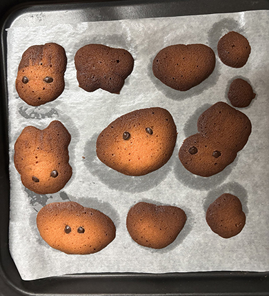 妹と作ったクッキー