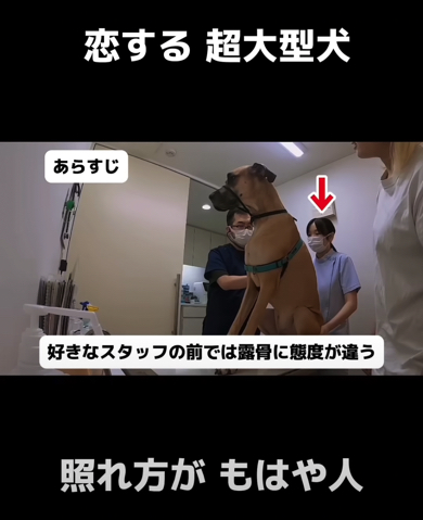 大好きな看護師さんがいる日