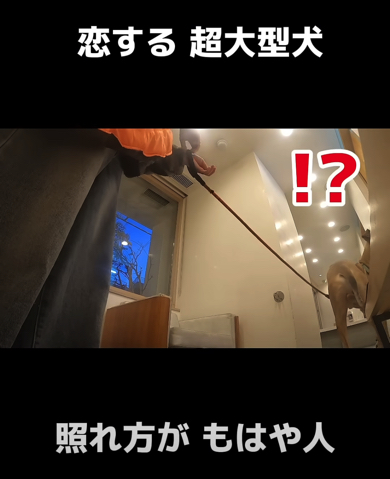 病院に到着すると大好きな看護師さんが登場