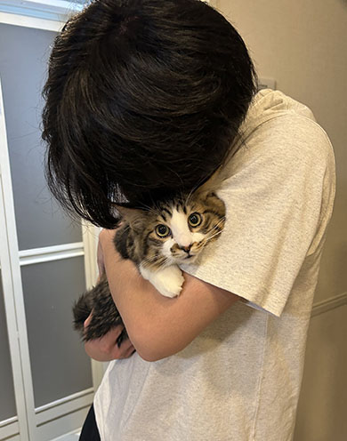 ビックリしている猫ちゃん