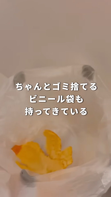ミカンの皮
