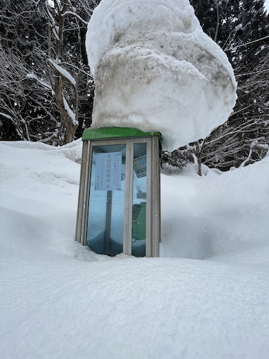 雪に埋もれた公衆電話ボックス