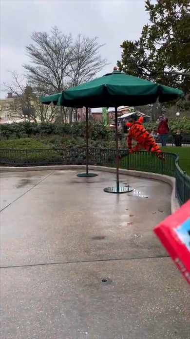 ディズニーランド・パリでキャストさんに怒られるティガー