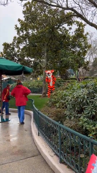 ディズニーランド・パリでキャストさんに怒られるティガー
