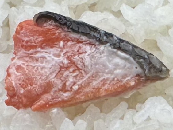 とても塩辛いお弁当