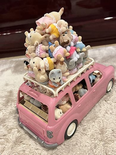 72人乗りのシルバニアカー