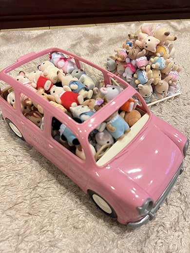 72人乗りのシルバニアカー