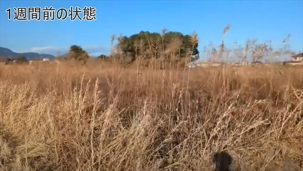 枯れ草ボーボーで大荒れの土地で農家が本気を出すと