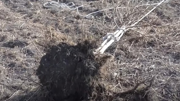 枯れ草ボーボーで大荒れの土地で農家が本気を出すと
