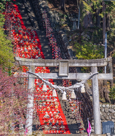 素戔嗚神社のひな飾り