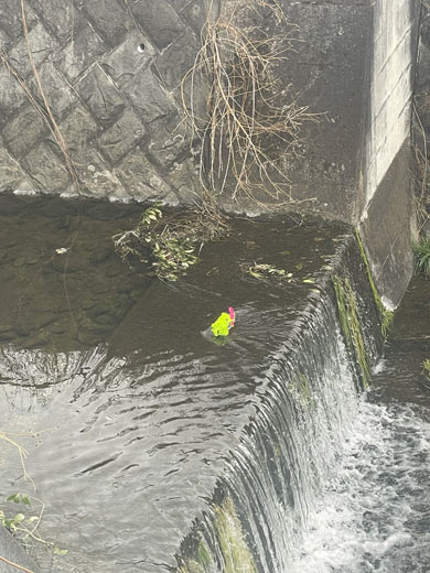 ゲーマドライバー