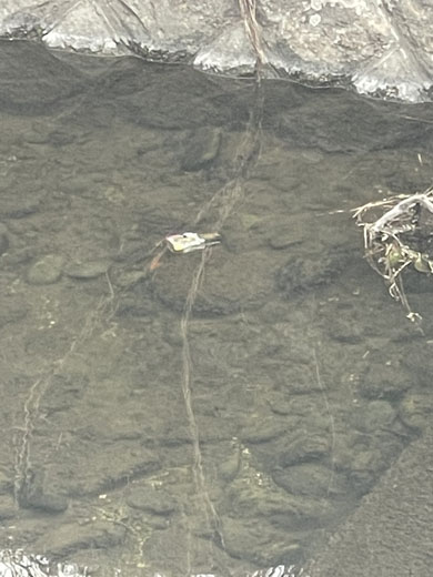 ゲーマドライバー