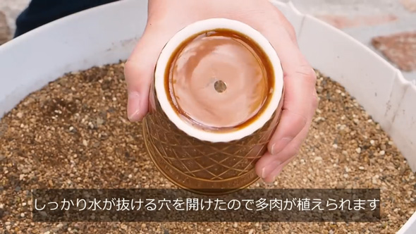 スリーピー コーン 陶器 穴あけ カップ チョコレート 多肉植物 寄せ植え