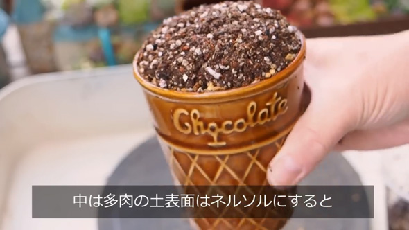 スリーピー コーン 陶器 穴あけ カップ チョコレート 多肉植物 寄せ植え