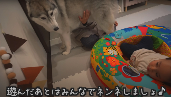 娘ちゃんが「遊んだあとはみんなでネンネしましょ」と提案