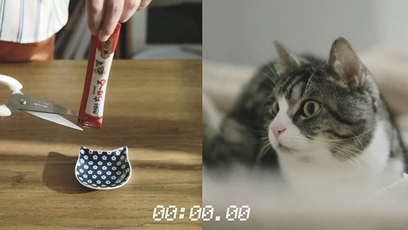 別室でちゅ〜るを開けたら猫は何秒で気付くのか？