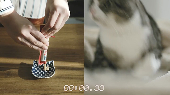 別室でちゅ〜るを開けたら猫は何秒で気付くのか？