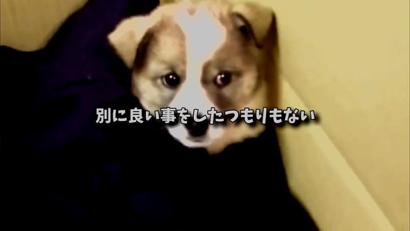 連れて帰りました