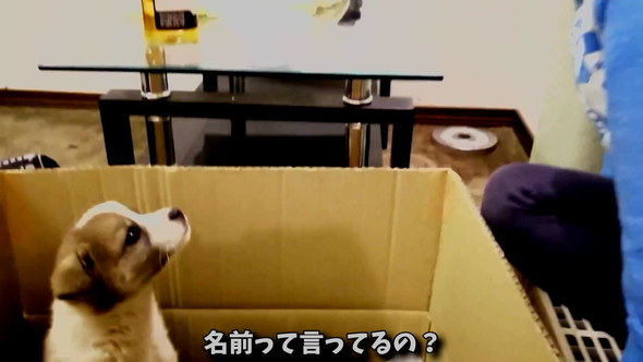 息子との出会い